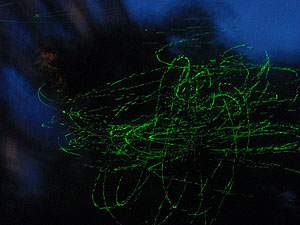 lazer risovanie